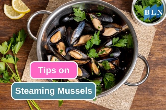 Step by Step to Steam Mussels Properly
